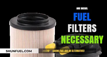 Diesel Fuel Filters: Necessary or Not?