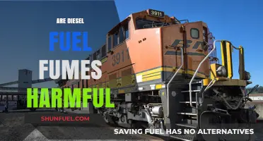 Diesel Fumes: Are They Harmful to Your Health?