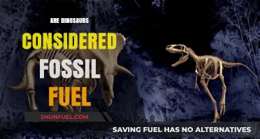 Fossil Fuels: Dinosaurs' Legacy or Misconception?