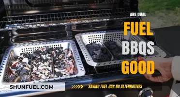 Dual Fuel BBQs: Are They Worth the Investment for Grilling?