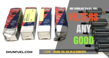 Duralast Diesel Fuel Filters: Are They Worth It?