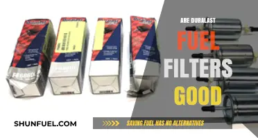 Duralast Fuel Filters Review: Performance, Reliability, and Value Analysis