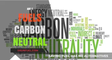 Are E-Fuels Truly Carbon Neutral? Exploring the Environmental Impact