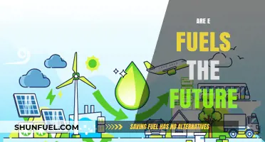 E-Fuels: The Sustainable Future of Transportation and Energy?