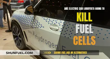 Electric Car Lobbyists: Fuel Cell Future in Doubt?