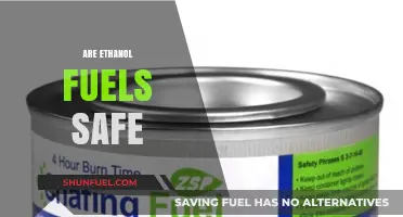 Ethanol Fuels: Safety Concerns, Environmental Impact, and Future Prospects