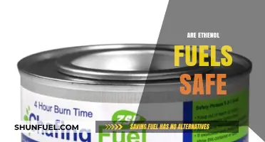 Ethanol Fuels: Safety Concerns, Environmental Impact, and Future Prospects