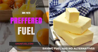 Are Fats the Preferred Fuel for Optimal Energy and Health?