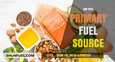 Are Fats Our Primary Fuel Source? Unlocking Metabolic Truths