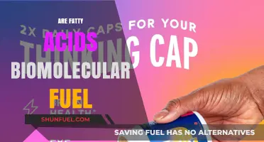 Fatty Acids: Essential Biomolecular Fuel for Energy and Health