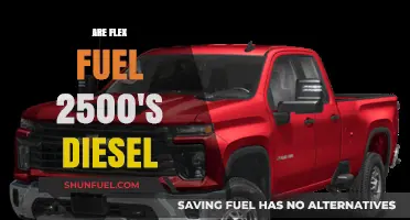 Flex Fuel 2500s: Diesel or Gas?
