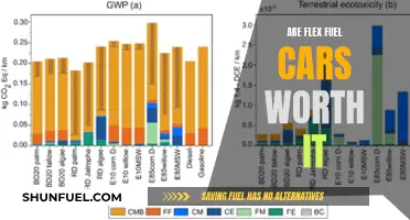 Flex Fuel Cars: Worth the Switch?