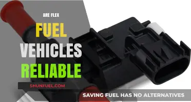 Are Flex Fuel Vehicles Reliable? Exploring Durability and Performance