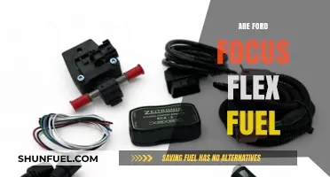 Is the Ford Focus Flex Fuel Compatible? A Comprehensive Guide