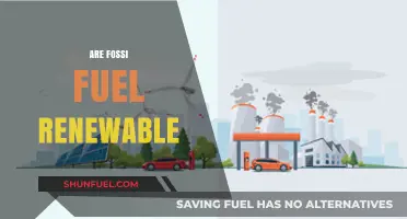 Are Fossil Fuels Renewable? Debunking Myths and Exploring Alternatives