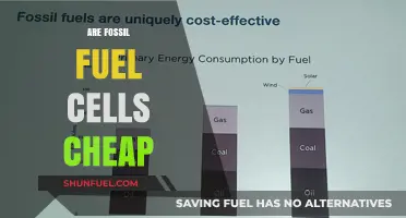 Fossil Fuel Cells: Affordable Energy Source?