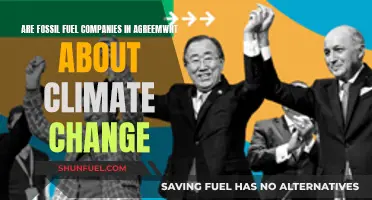 Fossil Fuel Companies: Climate Change Consensus or Controversy?