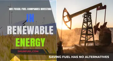 Fossil Fuel Companies: Embracing Renewable Energy?