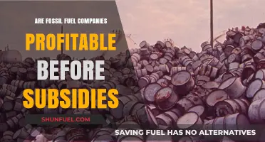 Fossil Fuel Profits: The Role of Subsidies