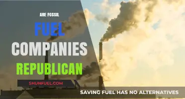 Fossil Fuel Companies: Republican Allies or Opportunists?