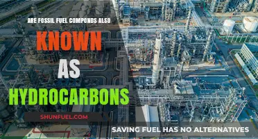 Hydrocarbons: Fossil Fuels' Chemical Composition