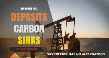 Fossil Fuel Deposits: Carbon Sinks or Climate Change Culprits?