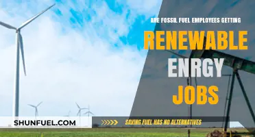 Transitioning Energy Workers: Fossil Fuels to Renewables