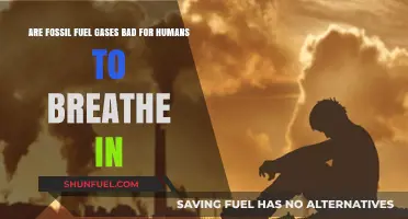 Fossil Fuel Fumes: Harmful Human Health Hazards