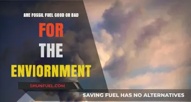 Fossil Fuels: Environmental Friend or Foe?