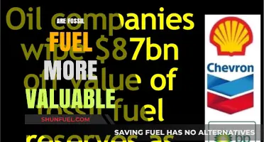 Fossil Fuels: Valuable, But At What Cost?