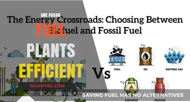 Fossil Fuel Plants: Efficient Energy or Environmental Disaster?