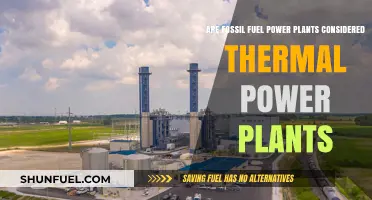 Thermal Power Plants: Fossil Fuel's Dark Legacy