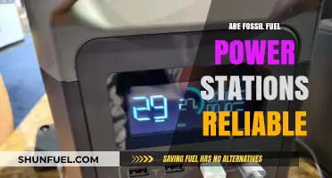 Fossil Fuel Power: Reliable or Risky Business?