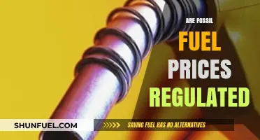 Fossil Fuel Pricing: Who Controls the Market?