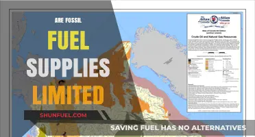 Fossil Fuels: Finite Resources, Infinite Problems