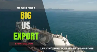 US Fossil Fuel Exports: A Global Concern?