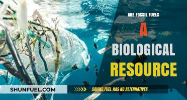 Fossil Fuels: Biological Resource or Environmental Curse?
