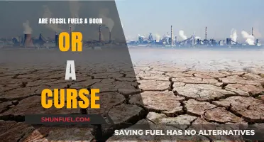Fossil Fuels: Power and Perils