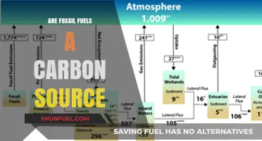 Fossil Fuels: Carbon Sources and Their Impact