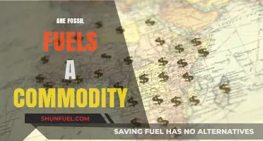 Fossil Fuels: A Commodity in Crisis