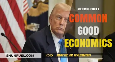 Fossil Fuels: Common Good or Economic Evil?