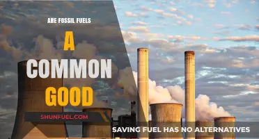 Fossil Fuels: Common Good or Global Bad?
