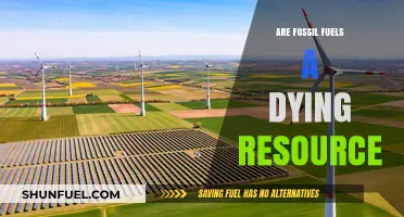 The End of Fossil Fuels: A Dying Resource?