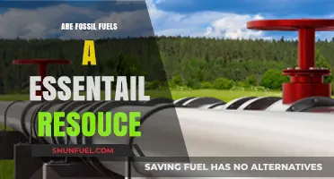 Fossil Fuels: Essential Resource or Environmental Hazard?