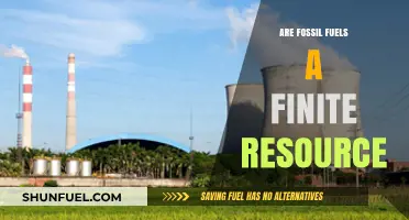 The End of Fossil Fuels: Finite and Failing