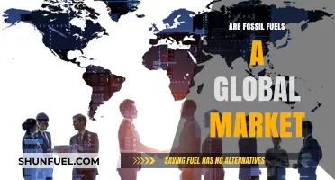 Fossil Fuels: A Global Market's Future