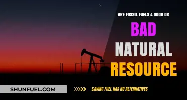Fossil Fuels: A Double-Edged Natural Resource?