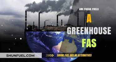 Fossil Fuels: Greenhouse Gas Culprits?