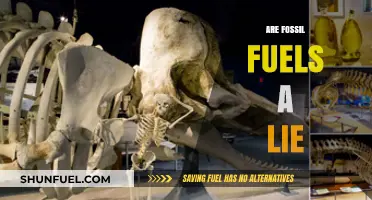 Fossil Fuels: A Lie We Live With?