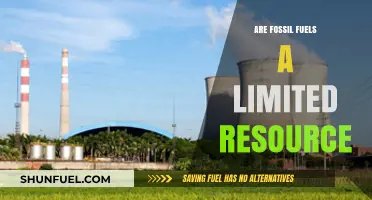 The Fossil Fuel Conundrum: Finite Energy Sources